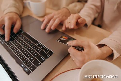 成功之道：案例解析与经验总结凯发k8入口跨境电商独立站(图3)