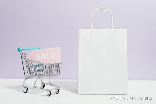 成功之道：案例解析与经验总结凯发k8入口跨境电商独立站(图13)