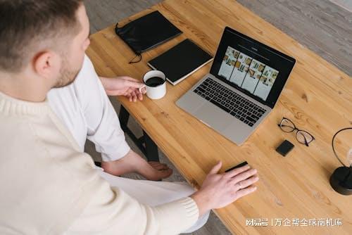 成功之道：案例解析与经验总结凯发k8入口跨境电商独立站(图9)
